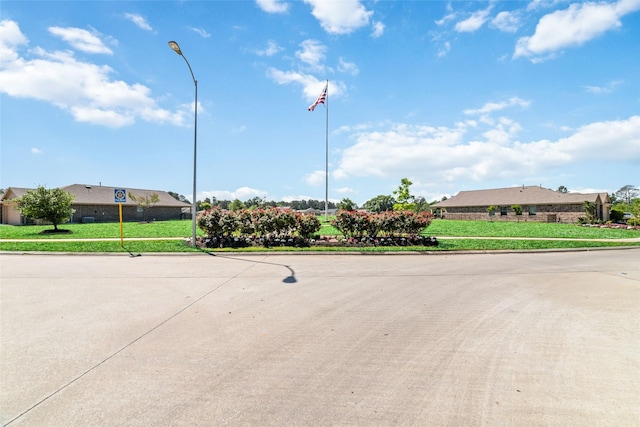 view of street with curbs