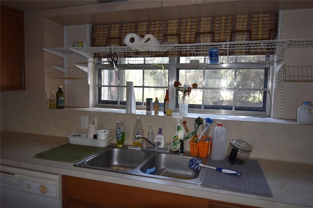 kitchen featuring a sink and dishwasher