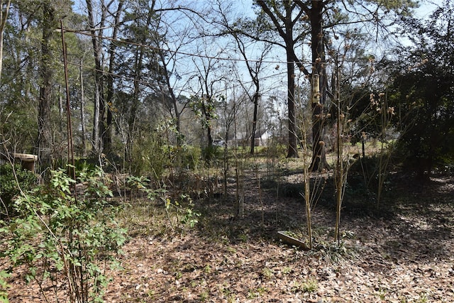 view of landscape featuring a wooded view