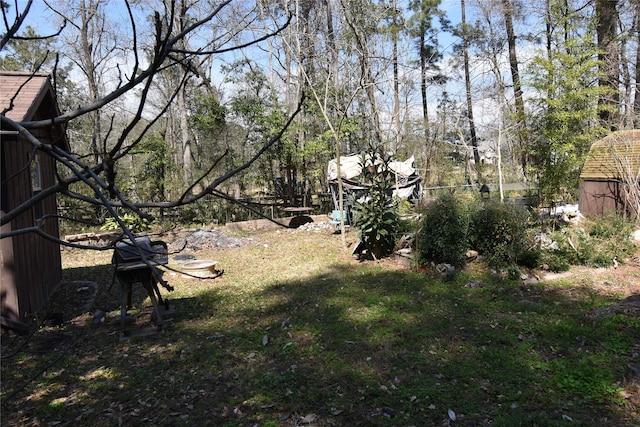 view of yard featuring an outbuilding