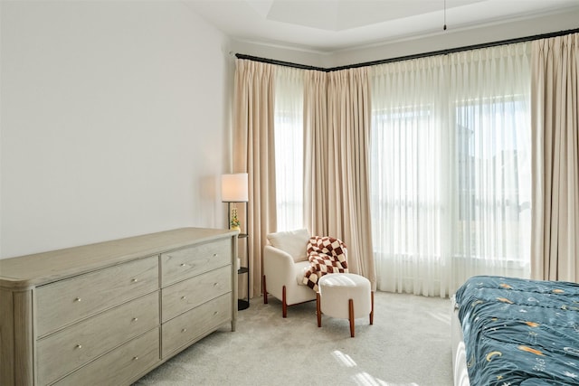 bedroom with light colored carpet