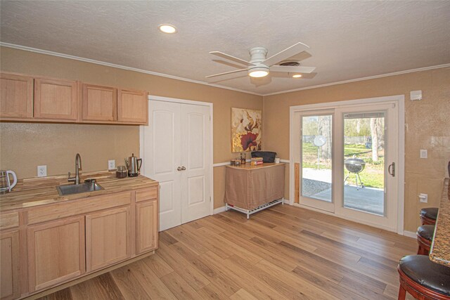 kitchen featuring ceiling fan, light countertops, crown molding, light wood-type flooring, and a sink