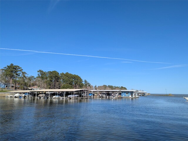 2 S Forest Cove Loop, Coldspring, TX 77331