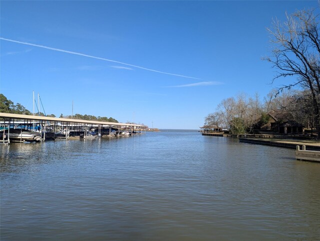 2 S Forest Cove Loop, Coldspring, TX 77331