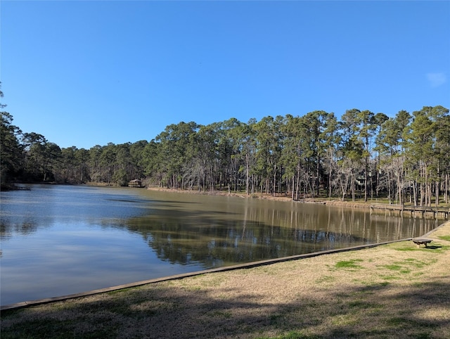 2 S Forest Cove Loop, Coldspring, TX 77331
