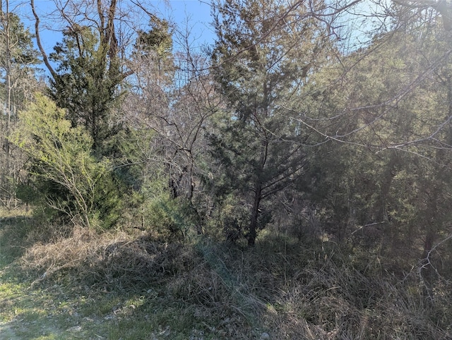 2 S Forest Cove Loop, Coldspring, TX 77331