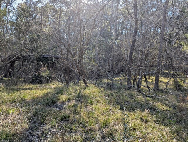 2 S Forest Cove Loop, Coldspring, TX 77331