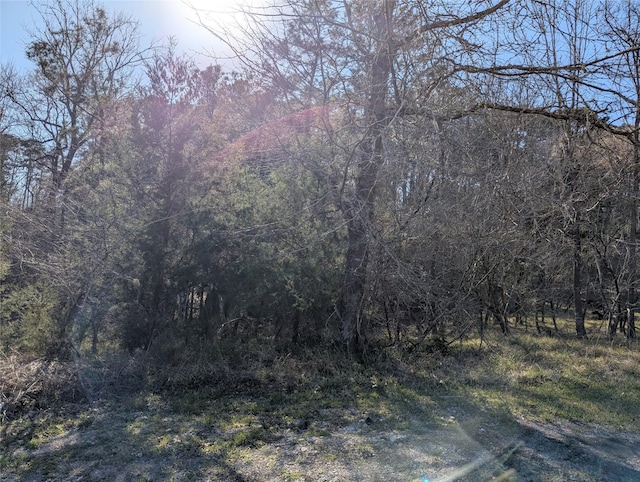2 S Forest Cove Loop, Coldspring, TX 77331