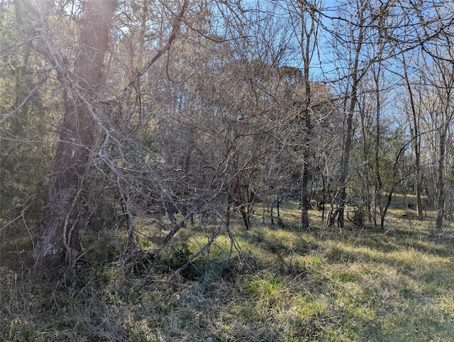 2 S Forest Cove Loop, Coldspring, TX 77331