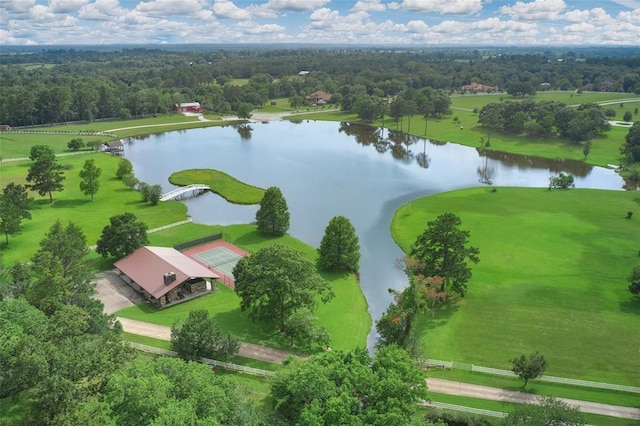 bird's eye view with a water view