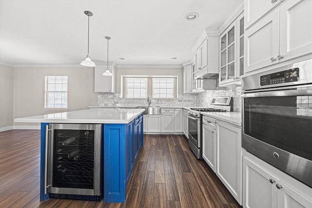 kitchen with blue cabinets, a healthy amount of sunlight, beverage cooler, and appliances with stainless steel finishes