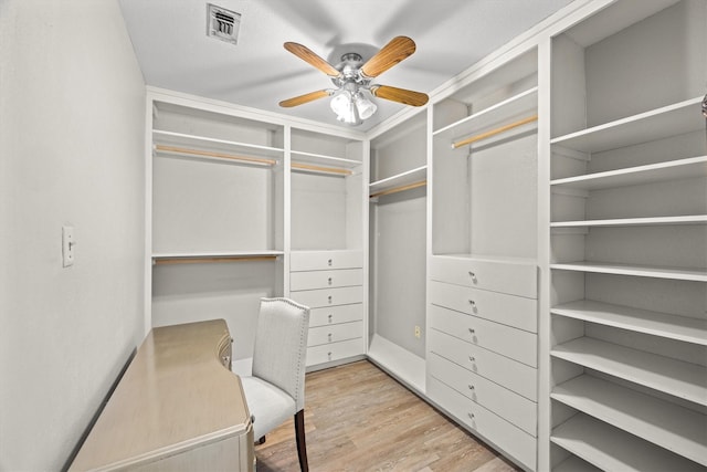 walk in closet with visible vents, ceiling fan, and wood finished floors