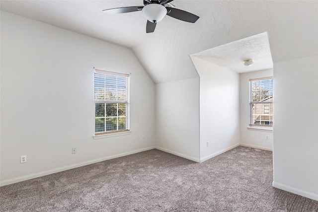 additional living space with a textured ceiling, carpet flooring, and a healthy amount of sunlight