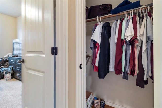 view of closet