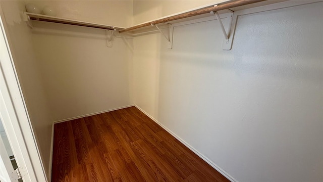 walk in closet featuring dark wood-style flooring