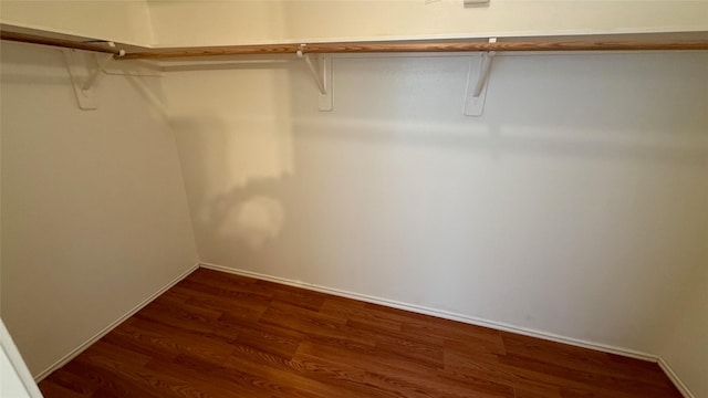 spacious closet featuring dark wood finished floors