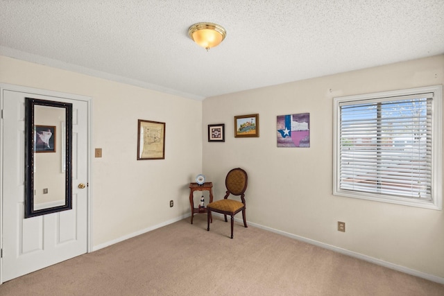 sitting room with baseboards, light carpet, and a textured ceiling