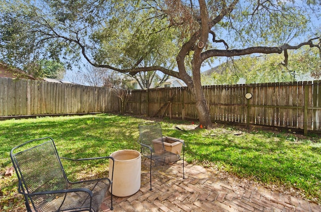 view of yard featuring a fenced backyard and a patio area