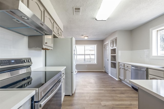 kitchen featuring a wealth of natural light, stainless steel appliances, ventilation hood, and light countertops