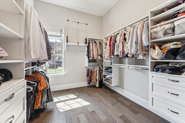 spacious closet featuring dark wood-type flooring