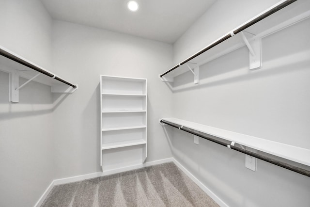 spacious closet featuring carpet