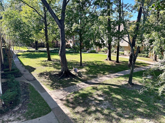 view of home's community featuring a yard