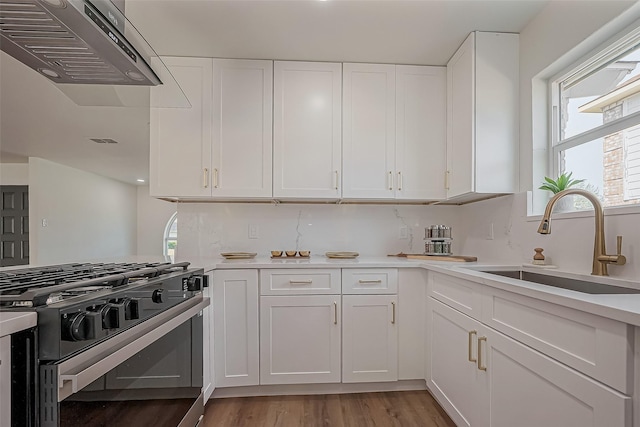 kitchen featuring exhaust hood, plenty of natural light, a sink, and range with gas stovetop