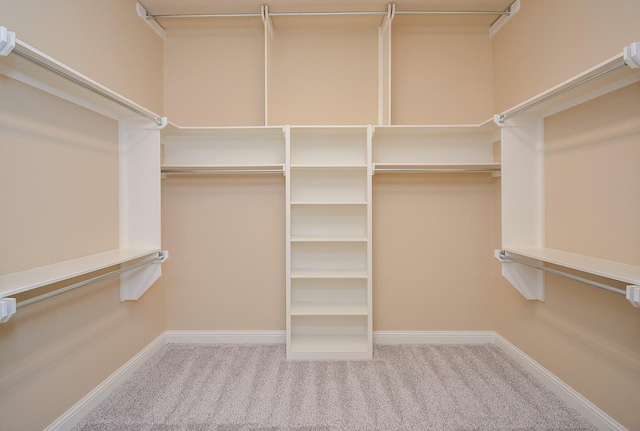 walk in closet featuring carpet flooring