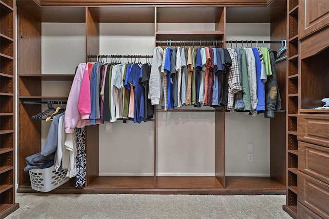 view of walk in closet