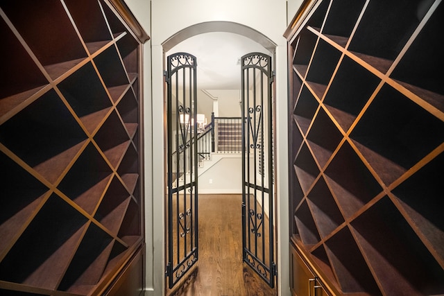 wine room featuring dark wood-style floors and arched walkways