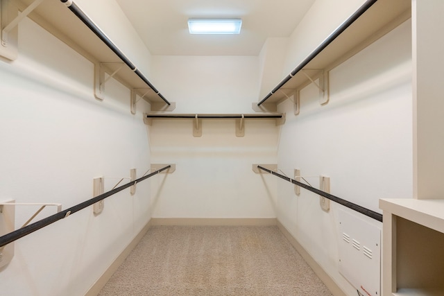 spacious closet featuring light colored carpet