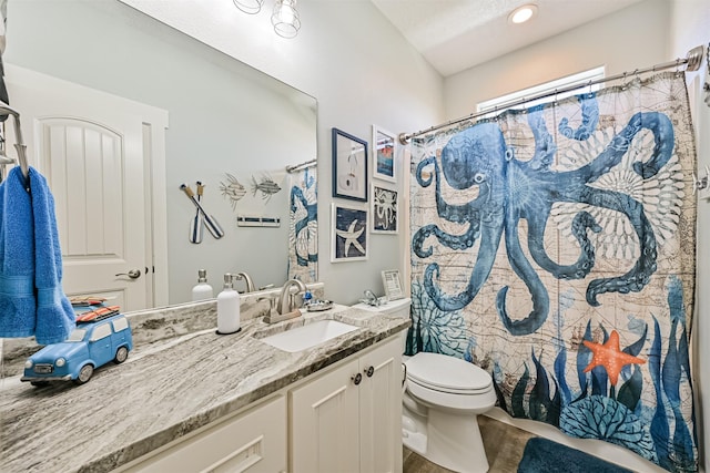 bathroom with wood finished floors, vanity, toilet, and a shower with curtain