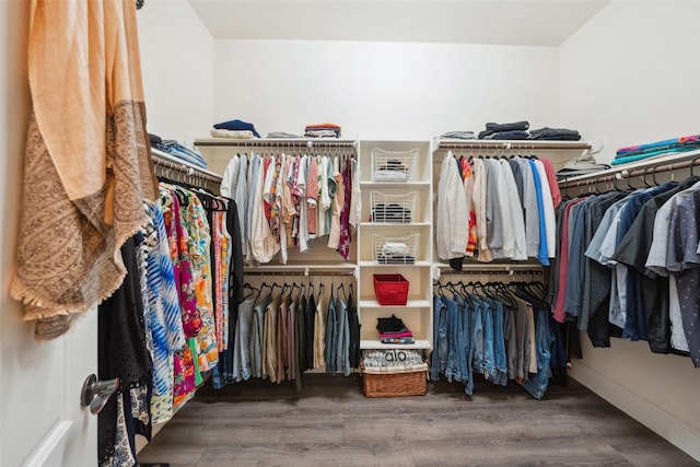 spacious closet with wood finished floors