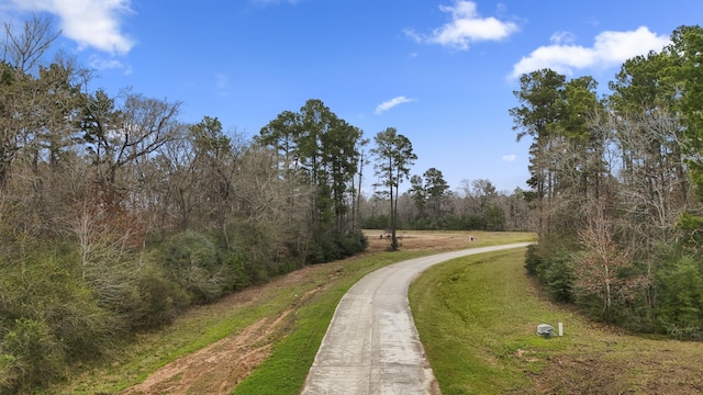 LOT13 Spring Branch Rd, Montgomery TX, 77316 land for sale