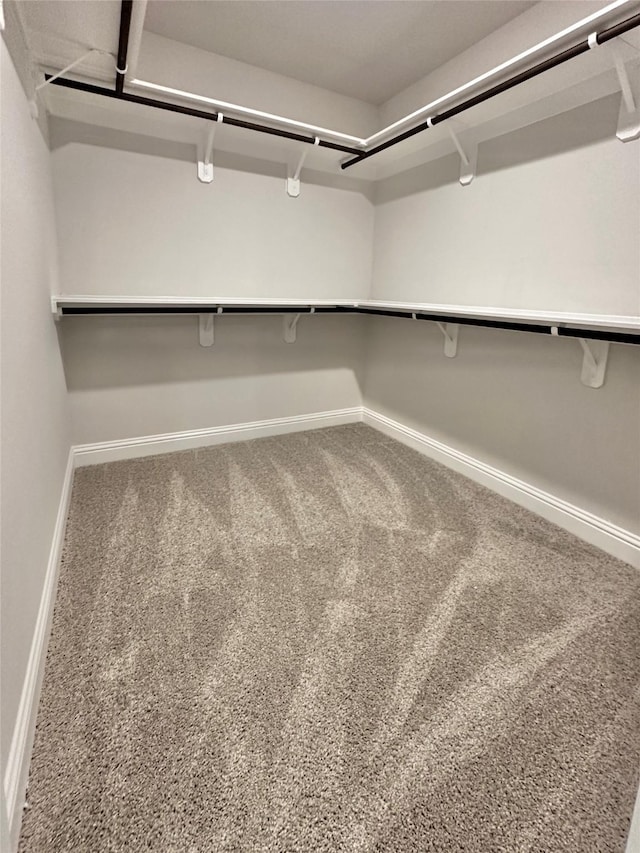 walk in closet with carpet