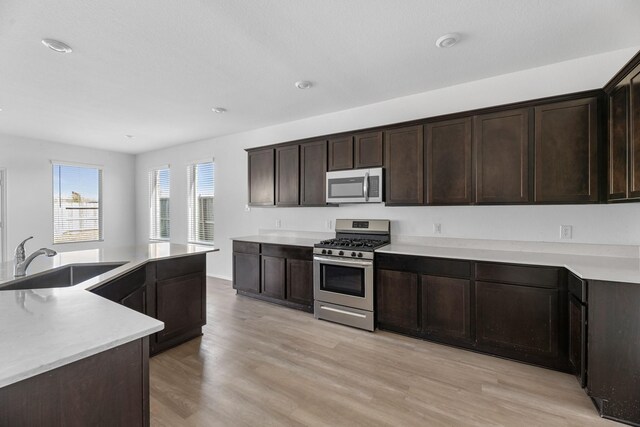 kitchen featuring stainless steel appliances, a sink, light wood finished floors, and dark brown cabinetry