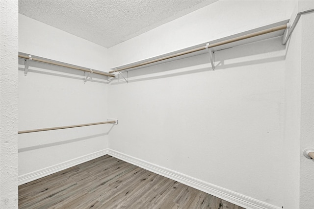 spacious closet featuring wood finished floors