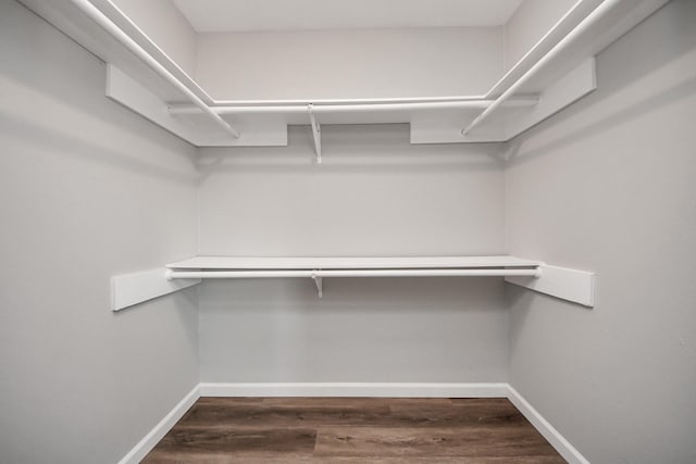 spacious closet with dark wood finished floors