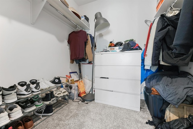 view of spacious closet