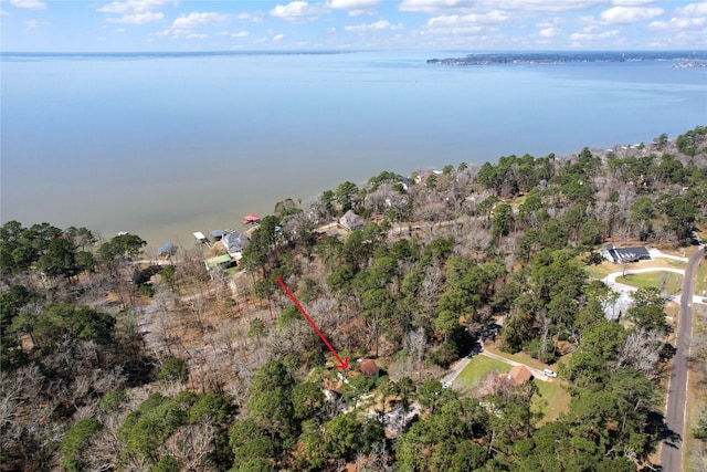 bird's eye view featuring a water view and a view of trees