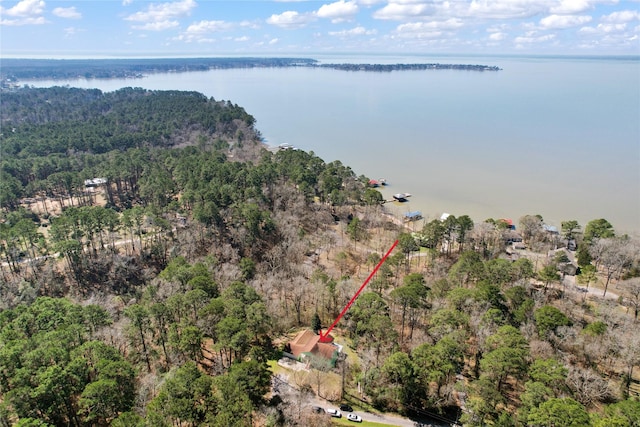 bird's eye view featuring a water view and a forest view