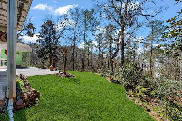 view of yard with a patio