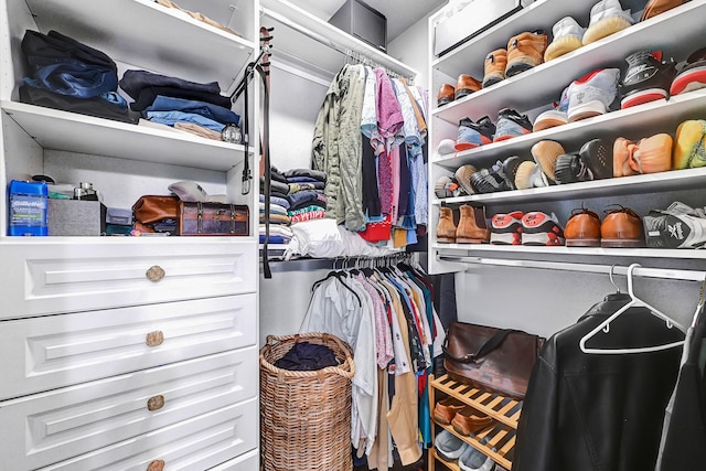 view of spacious closet