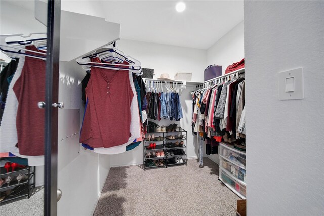 walk in closet with carpet flooring