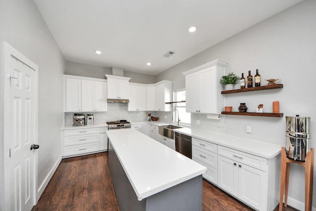 kitchen featuring under cabinet range hood, stainless steel appliances, a sink, light countertops, and a center island