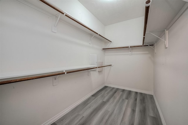 walk in closet featuring wood finished floors