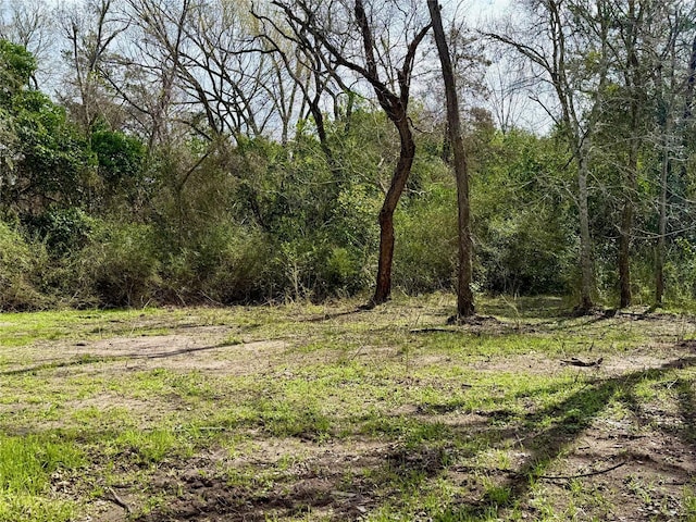 view of landscape featuring a wooded view