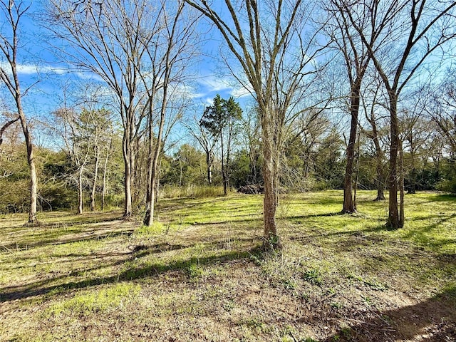 view of local wilderness