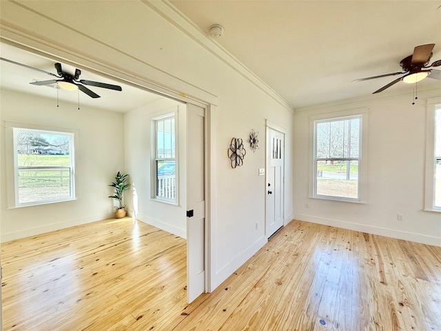 foyer with ornamental molding, a wealth of natural light, hardwood / wood-style flooring, and baseboards