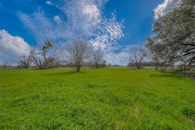 422 Fm 360th Rd, Beasley, TX 77417 - photo 6
